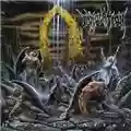 Immolation Here In After