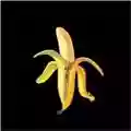 The Dandy Warhols Welcome To The Monkey House