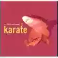 Karate In The Fishtank 12