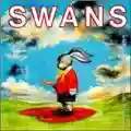 Swans White Light From the Mouth of Infinity