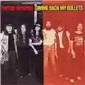 Lynyrd Skynyrd Gimme Back My Bullets