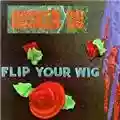 Hüsker Dü Flip Your Wig