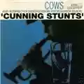 Cows Cunning Stunts
