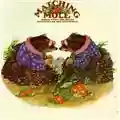 Matching Mole Matching Mole
