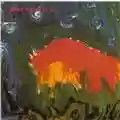 Meat Puppets Meat Puppets II