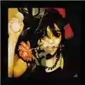 Public Image Ltd Flowers Of Romance