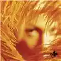 Stone Temple Pilots Shangri-La Dee Da
