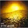 In The Woods... Omnio