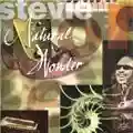 Stevie Wonder Natural Wonder