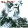Artrosis Hidden Dimension