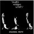 Young Marble Giants Colossal Youth