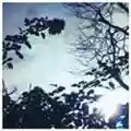 Pillow Flowing Seasons