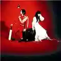 The White Stripes Elephant