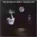 The Sisters of Mercy Floodland