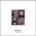 Pet Shop Boys Behavior