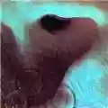 Pink Floyd Meddle