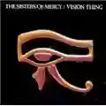 The Sisters of Mercy Vision Thing