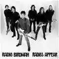 Radio Birdman Radios Appear