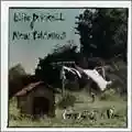 Edie Brickell And The New Bohemians Ghost Of A Dog
