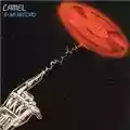 Camel Alive Record