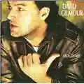 David Gilmour About Face