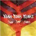 Yeah Yeah Yeahs Show Your Bones