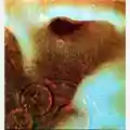 Pink Floyd Meddle