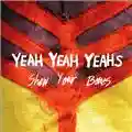 Yeah Yeah Yeahs Show Your Bones