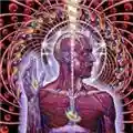 Tool Lateralus