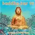 Ravin & David Visan Buddha-Bar VII