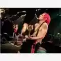Red Hot Chili Peppers "Stone Cold Bush" live from "What's Hits!?" dvd