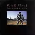 Pink Floyd Delicate Sound Of Thunder