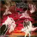 Immolation Dawn Of Possession