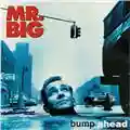 Mr. Big Bump Ahead