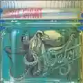 Gentle Giant Octopus