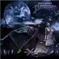Beyond Twilight Section X