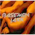 Basement Jaxx Remedy