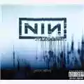 Nine Inch Nails With Teeth