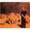 The Sound From The Lions Mouth