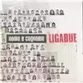 Ligabue Nome e cognome