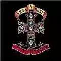 Guns n' Roses Appetite for Destruction