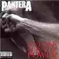 pantera vulgar display of power