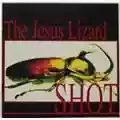 The Jesus Lizard Shot