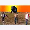 Le Piciarle Fankulo la tartaruga