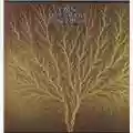 Van Der Graaf Generator Still Life
