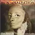 Pain Of Salvation One Hour By The Concrete Lake
