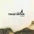 Tristania Ashes