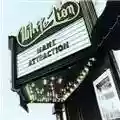 White Lion Mane Attraction
