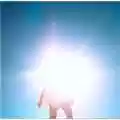 Boredoms Vision Creation Newsun