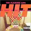 The Flaming Lips Hit to Death in the Future Head